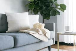The Dwelling- Full Home