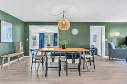 Olive Tree Oasis